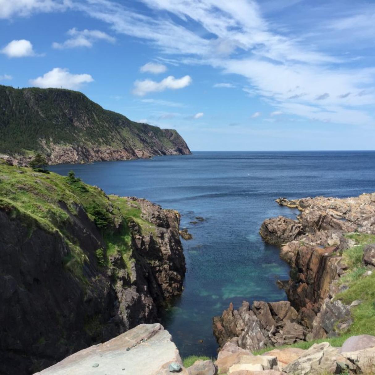 Rugged coastline of Newfoundland.