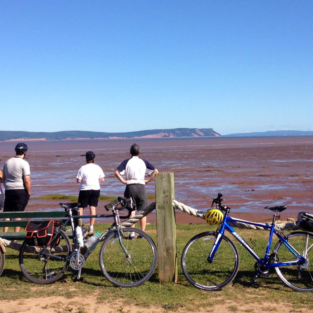 4 cyclists stop to view low tide